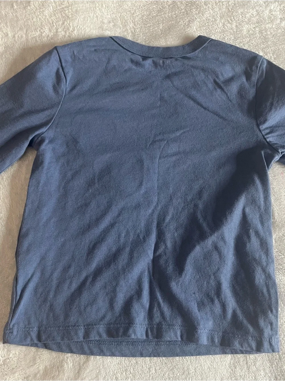 The‎ Children's Place Crewneck Graphic Long-Sleeve Tees Blue Brown Sz 2T